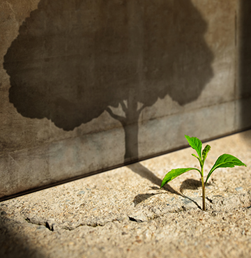 urbanistica e pianificazione